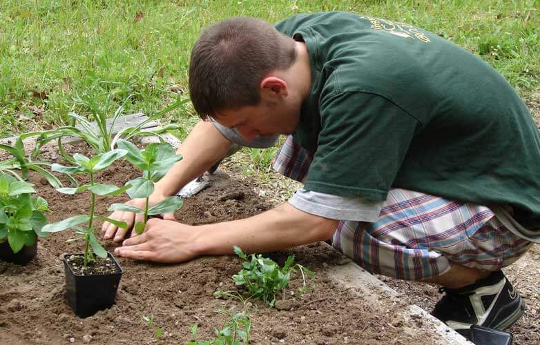 planting-782x500